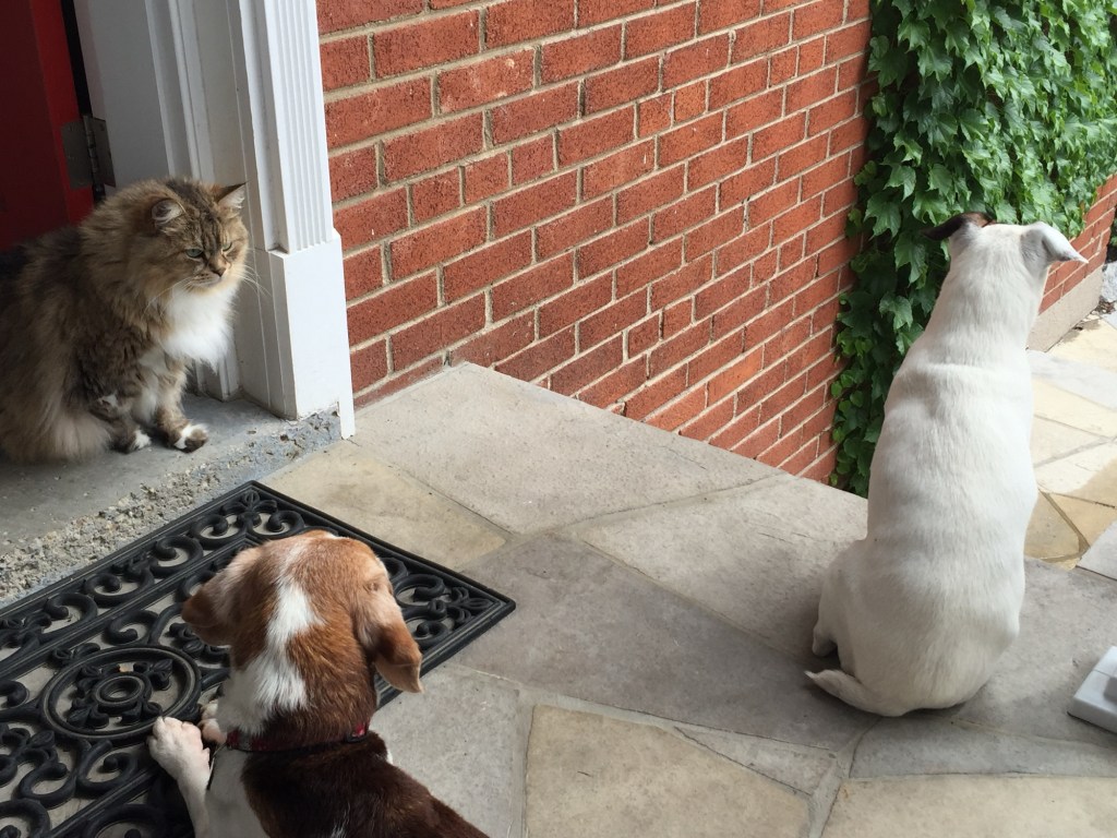 Daily Prompt –&nbsp;2118