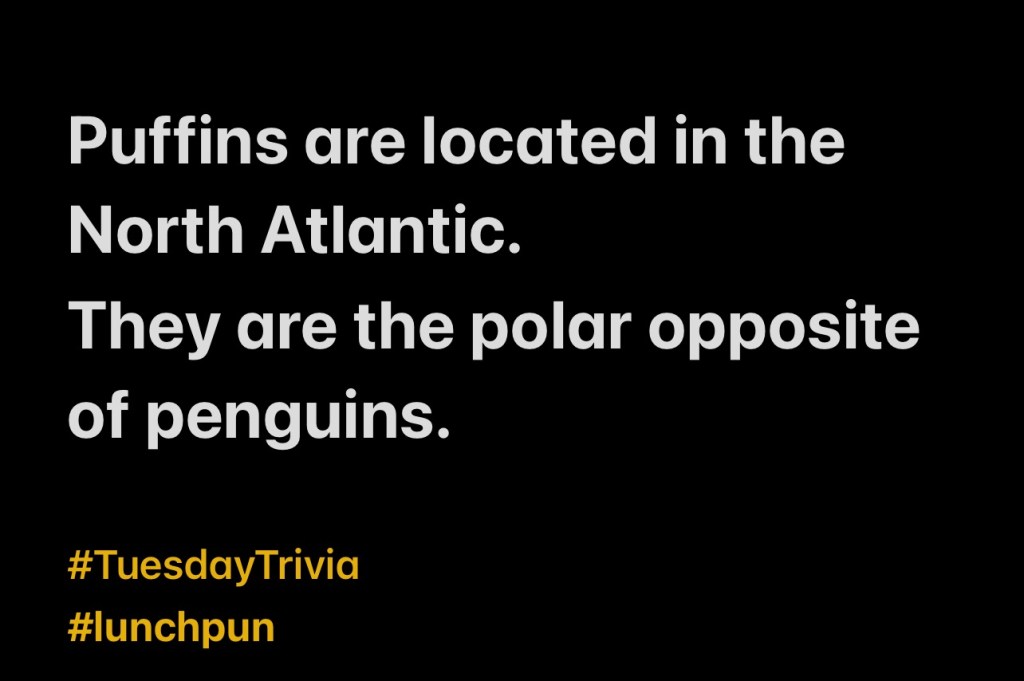 Tuesday Trivia