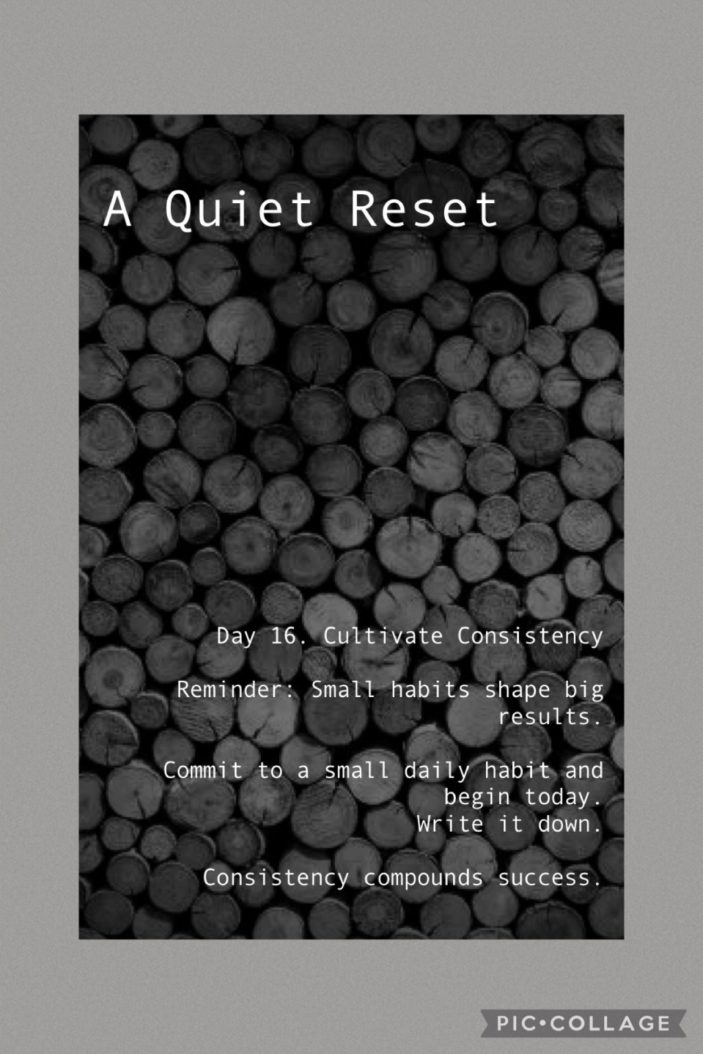 A Quiet Reset – day&nbsp;16