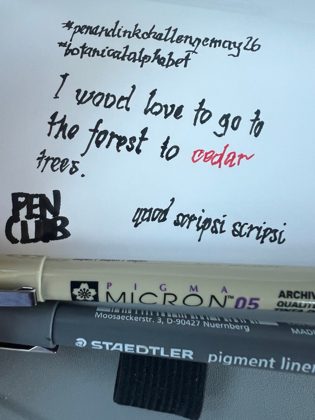 Pen and Ink Challenge –&nbsp;May27