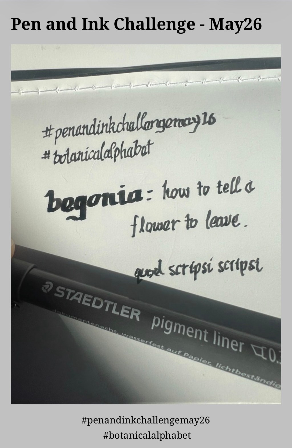 Pen and Ink Challenge –&nbsp;May26