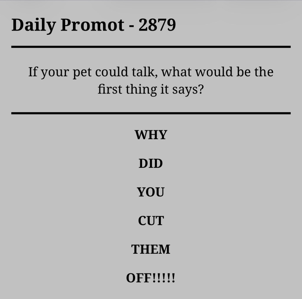 Daily Promot –&nbsp;2879